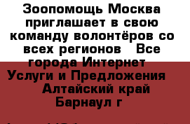 Зоопомощь.Москва приглашает в свою команду волонтёров со всех регионов - Все города Интернет » Услуги и Предложения   . Алтайский край,Барнаул г.